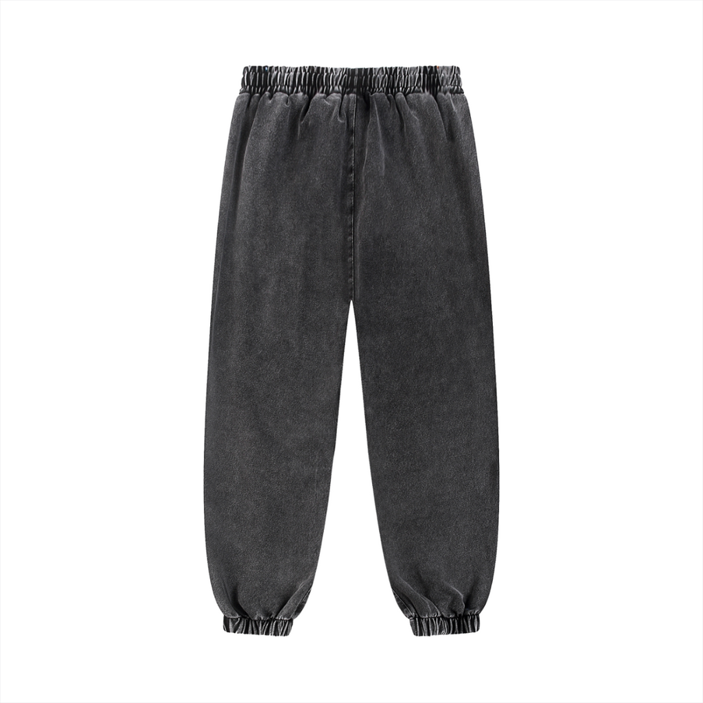 DG Snow Wash Jogger
